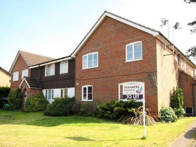 House for rent in Surrey, England