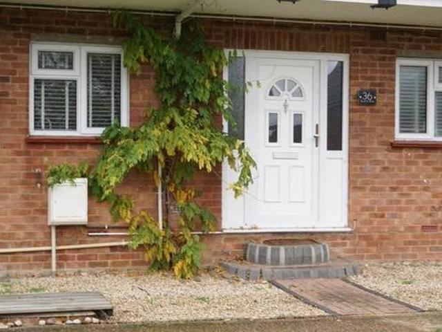 House for rent