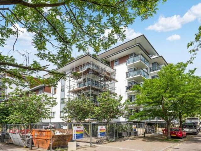 Flat for rent in Cat Hill