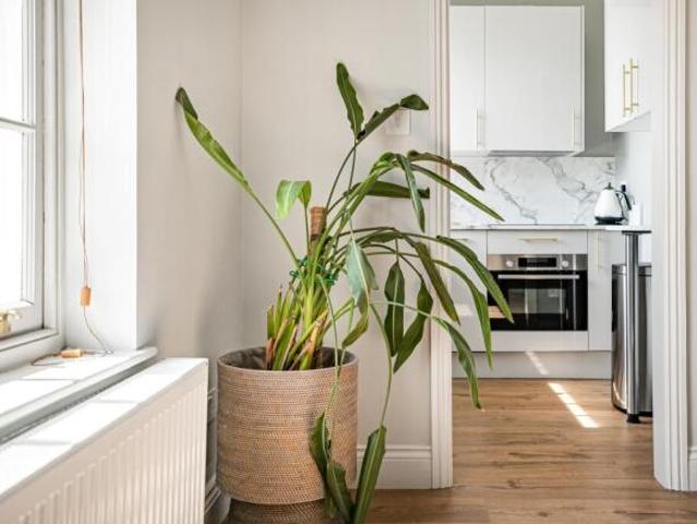 Flat for rent in Cat Hill