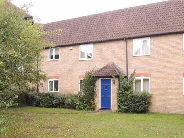 House for rent