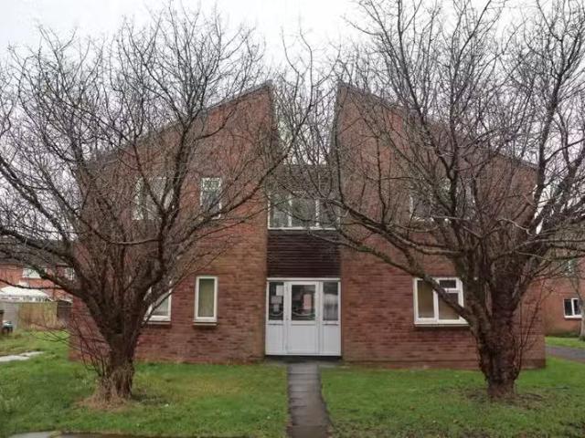 House for rent