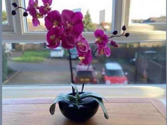 House for sale in New Malden, Greater London