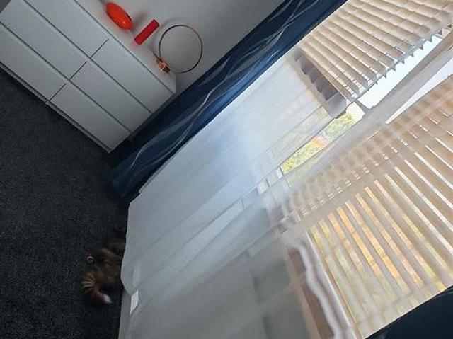 Apartment for rent in Charlton Riverside, Greater London