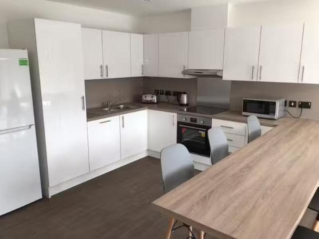 House for rent