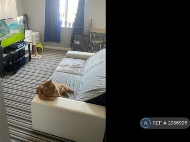 Apartment for rent in Withycombe, Budlake