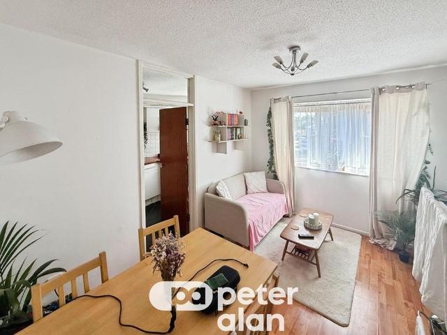 Apartment for rent in Plasnewydd, Falcon Lodge