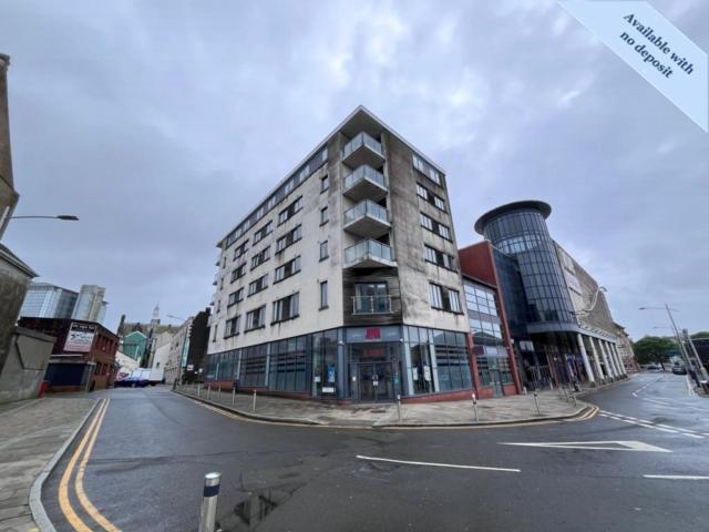 Flat for rent in Mount Pleasant, Nangreaves