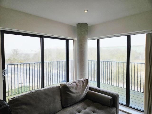 Apartment for rent in South Ashford, Bridgefield