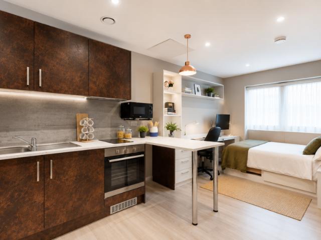 Flat for rent in Haymarket, Tyne And Wear