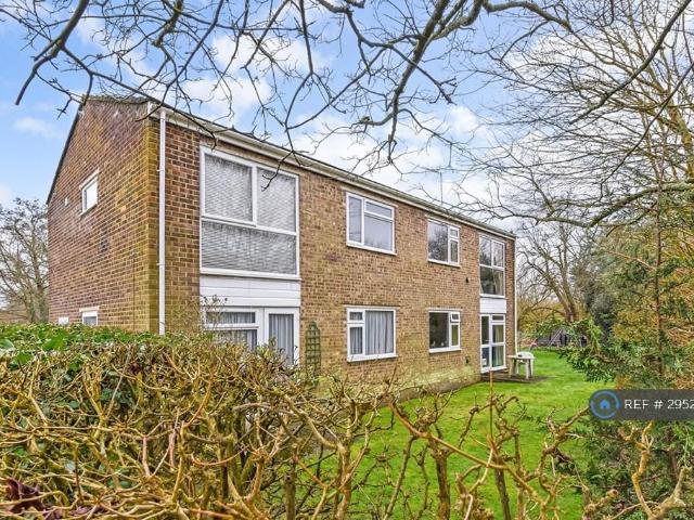 Flat for rent in Petersfield, Bolton Low Houses