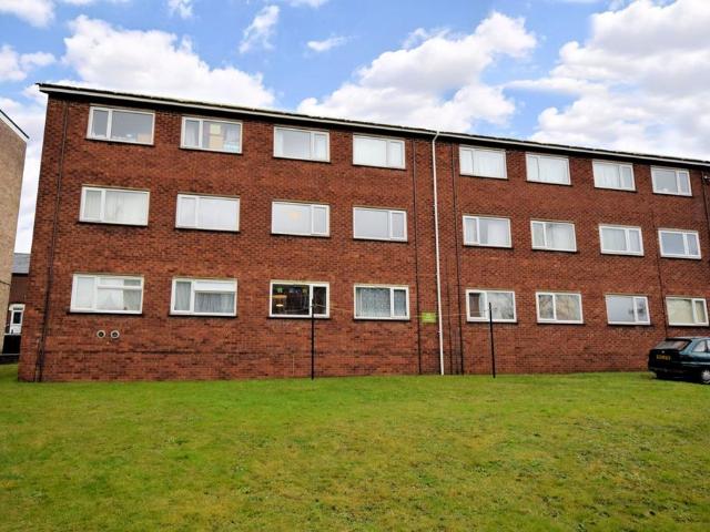 Flat for rent in New Catton, East Bank