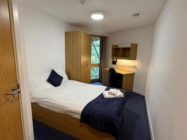Room for rent in Holywell, The Slade