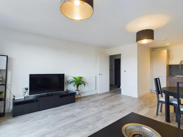 Apartment for rent in South Ashford, Bridgefield