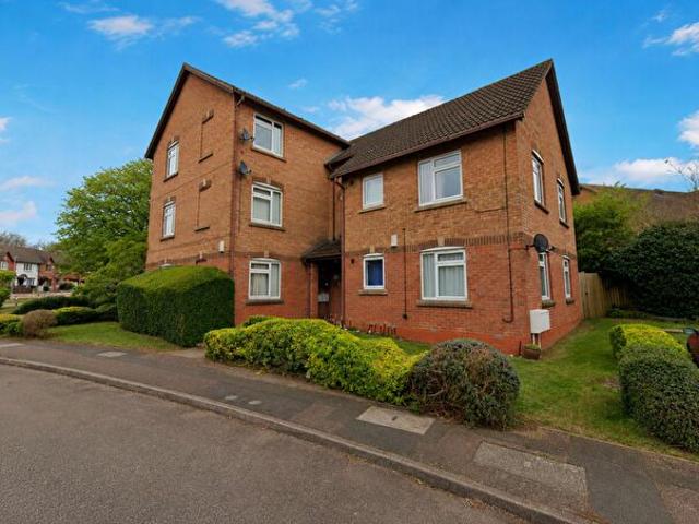 Apartment for rent in Spring Park, Kingsthorpe