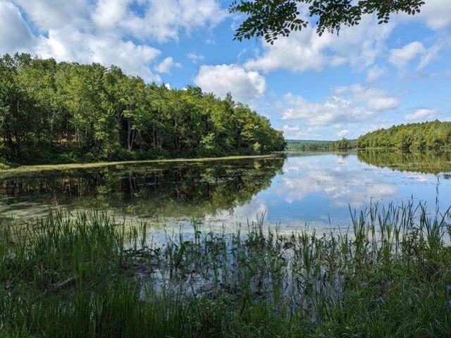 House for sale in Waldo, Maine