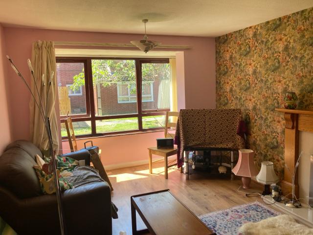 Apartment for rent in Grove Hill, Normanby