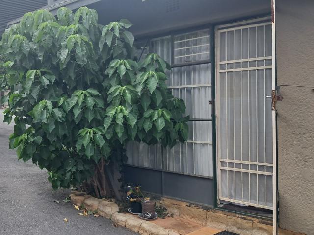 House for rent in Kagiso, Gauteng