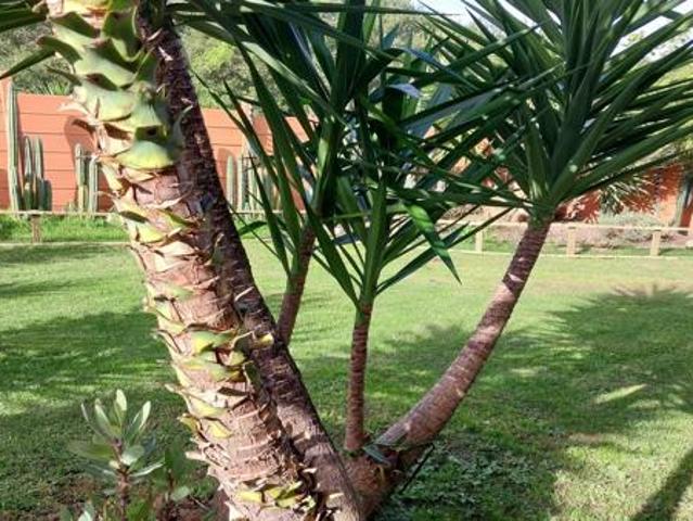 Property for rent in Groot Brak Rivier, Western Cape