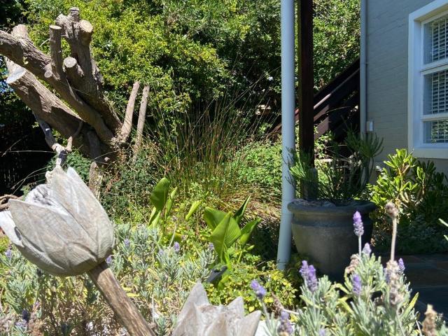 House for rent in Western Cape