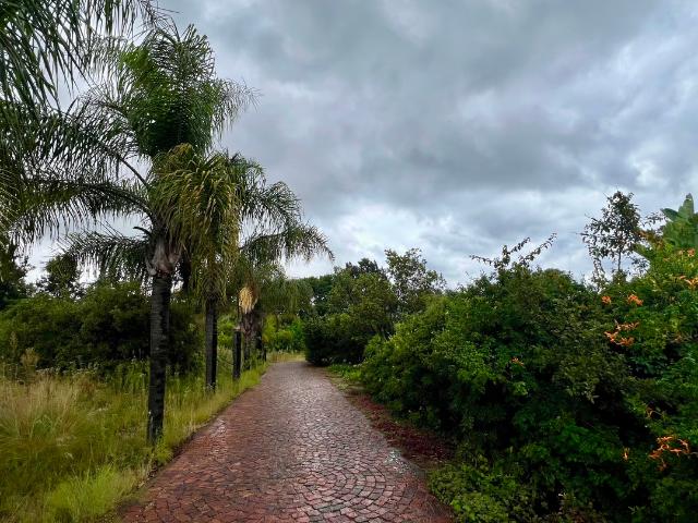 House for rent in Kwazulu-natal