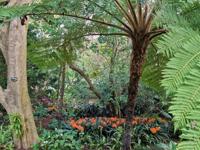 House for rent in Kloof, Kwazulu-natal