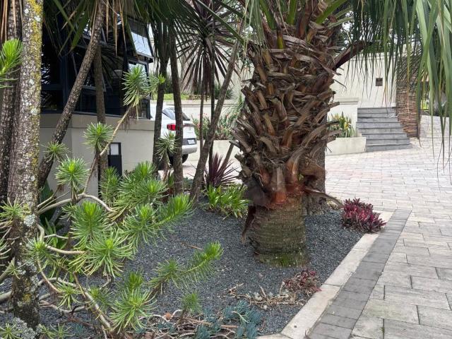 House for rent in Kloof, Kwazulu-natal