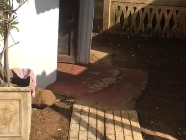 Apartment for rent in Melmoth, Kwazulu-natal