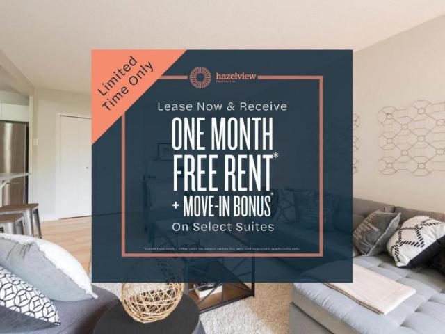 Apartment for rent in Hamilton