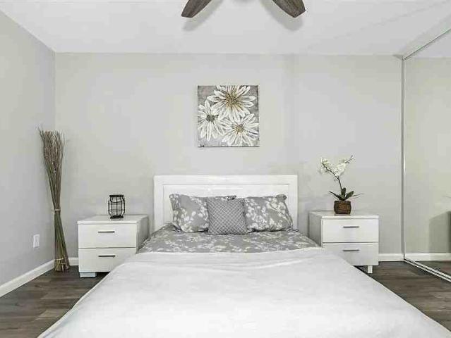 House for rent in Jacumba, California