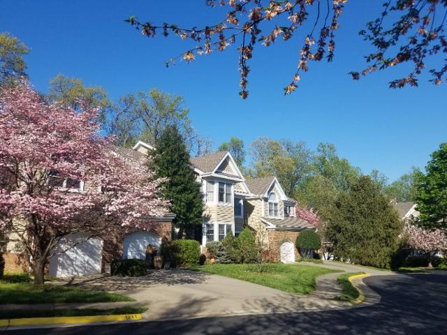 House for rent in Virginia