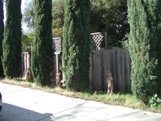 House for rent in Los Altos, California