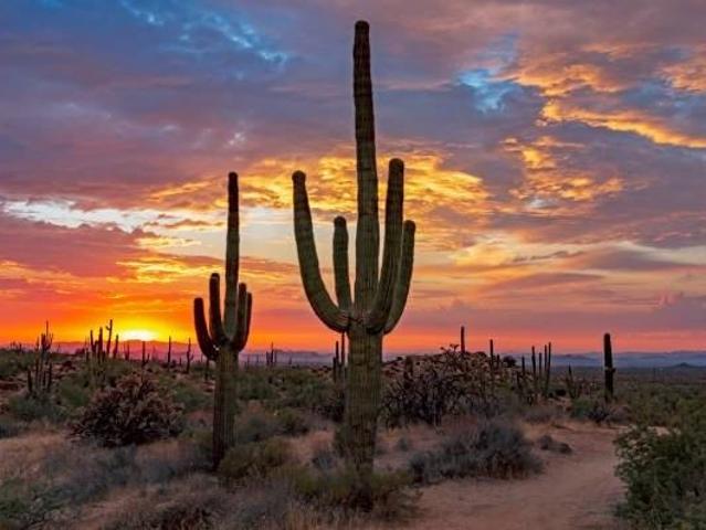 House for rent in Laveen, Arizona