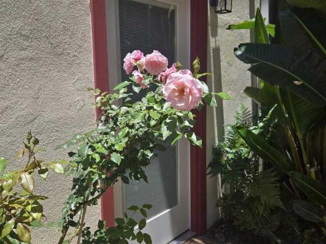 House for rent in Coronado, California