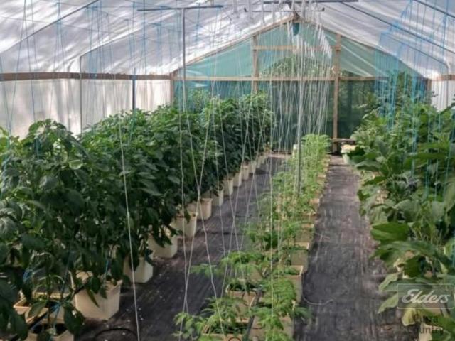 House for sale in Curra, Gympie Regional