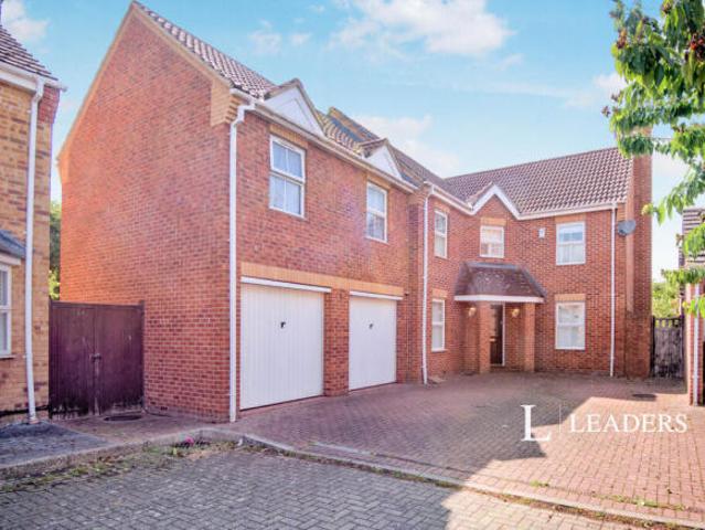 Room for rent in Chelmsford