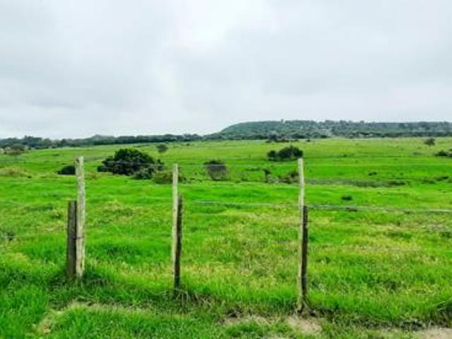 House for rent in Eastern Cape