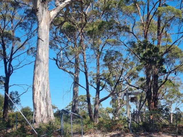 House for sale in Murdunna, Tasmania