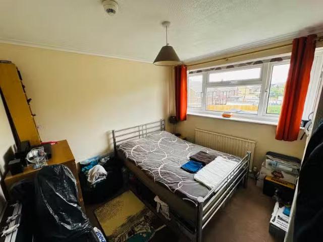 House for rent