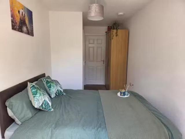 House for rent