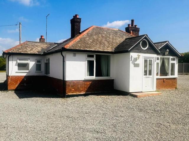 Room for rent in Duton Hill, Essex