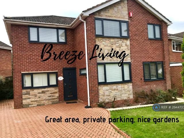 Room for rent in Burgess Brook, Butterton