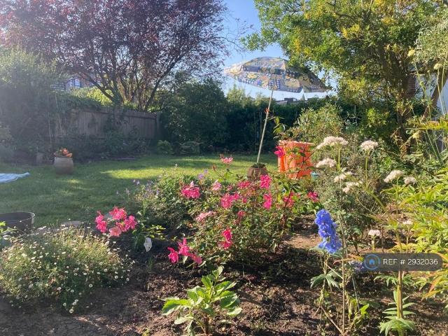 Room for rent in Muswell Hill, Greater London