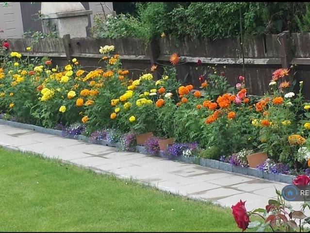 Room for rent in Lane, Isle Of Man