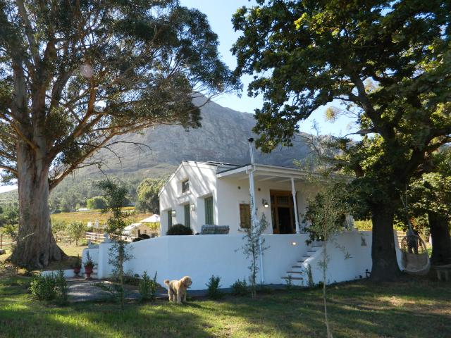 House for rent in Pniel, Western Cape