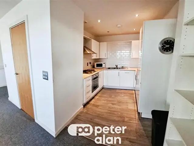 Apartment for rent in Mount Pleasant, Swansea