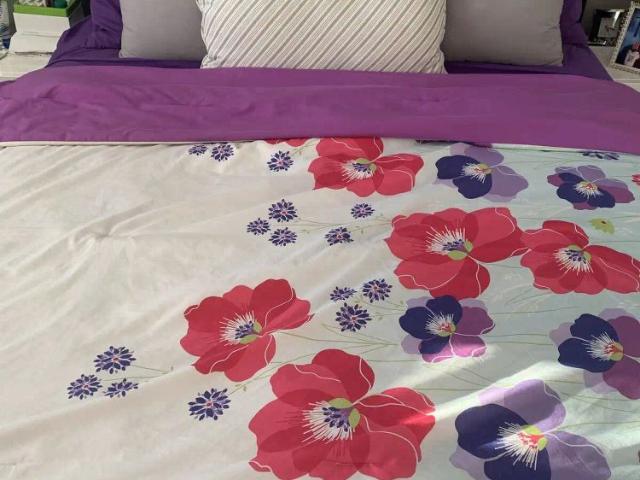 Room for rent in Evanston, Calgary