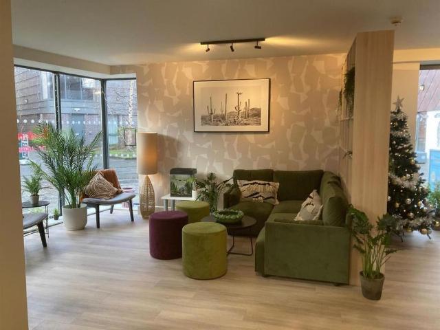 Room for rent in Newtown, Two Mills