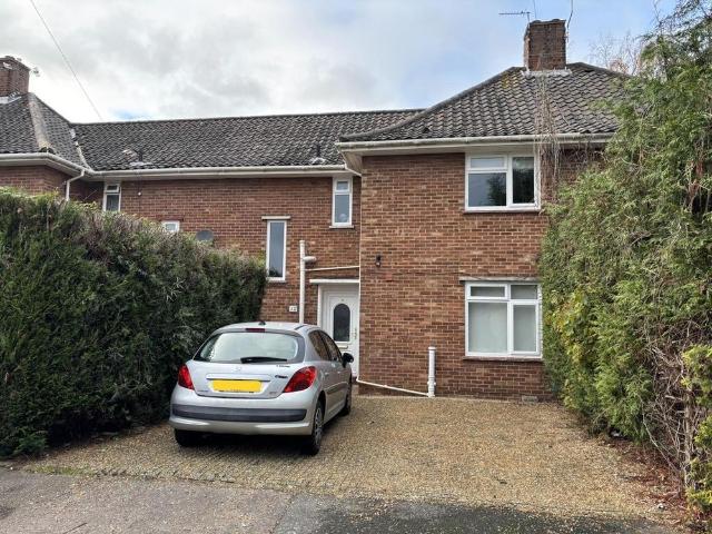 Room for rent in Colney, Burgh St Peter