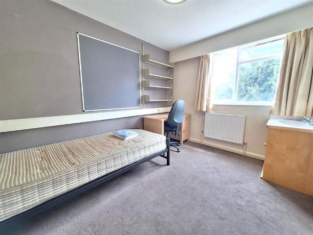 Room for rent in Newtown, Reading